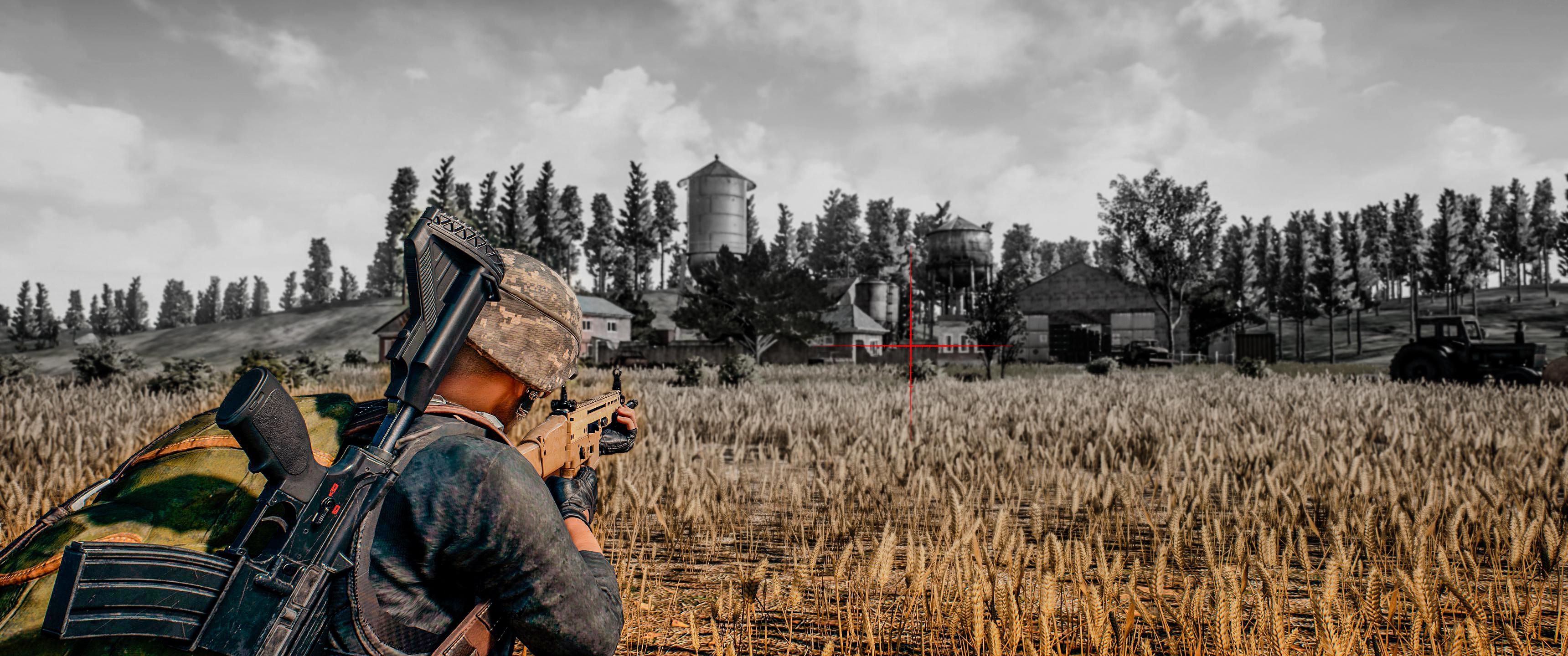PUBG wheat field sniper scene